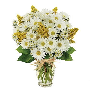 My Sunny Daisy Bouquet