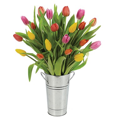 Spring Tulip Surprise