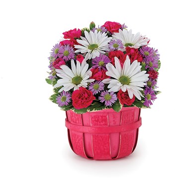It's A Daisy Day Bouquet