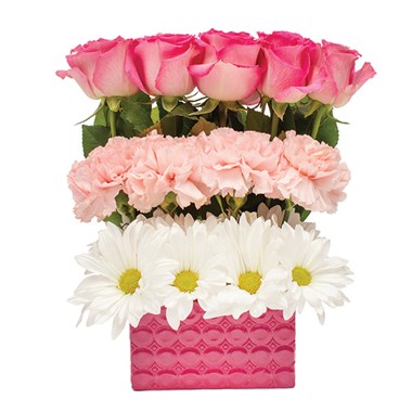 Bloom's Garden Surprise