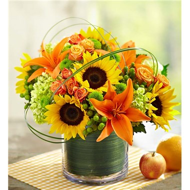 Sunburst Bouquet™